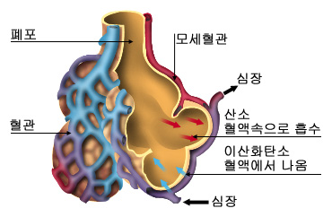 의약품 이미지